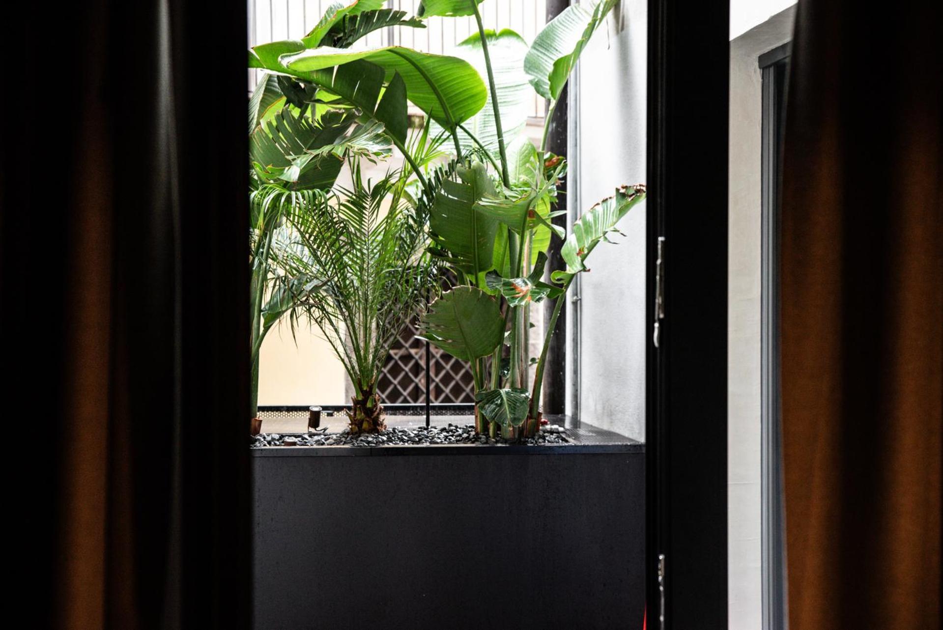 Apartment Terme Di Bacco - Design And
